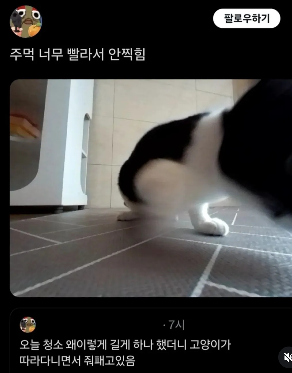 오늘-로봇청소기가-왜-이렇게-길게-하나-했더니-고양이가-따라다니면서-줘패고-있음-1-이미지