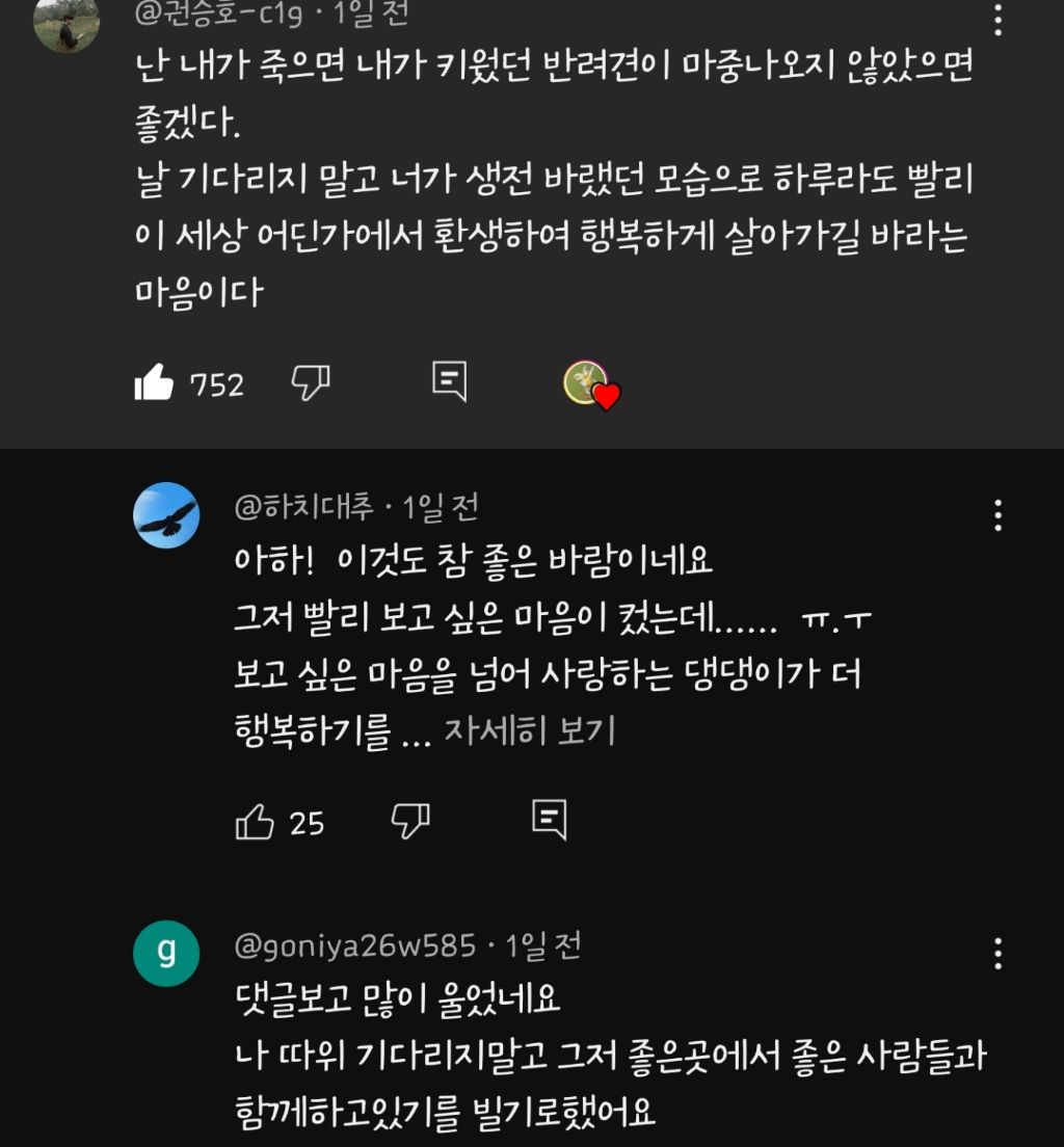 난-내가-죽으면-키웠던-반려견이-마중나오지않았음-좋겠다-2-이미지