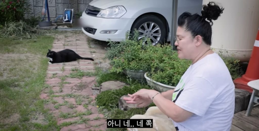 신발-물어-뜯은-고양이-찾아간-이영자-14-이미지