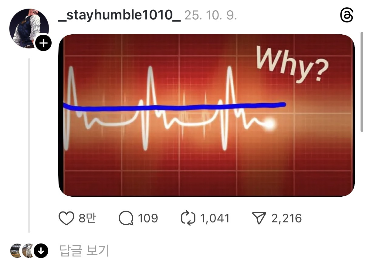 why??-2-이미지