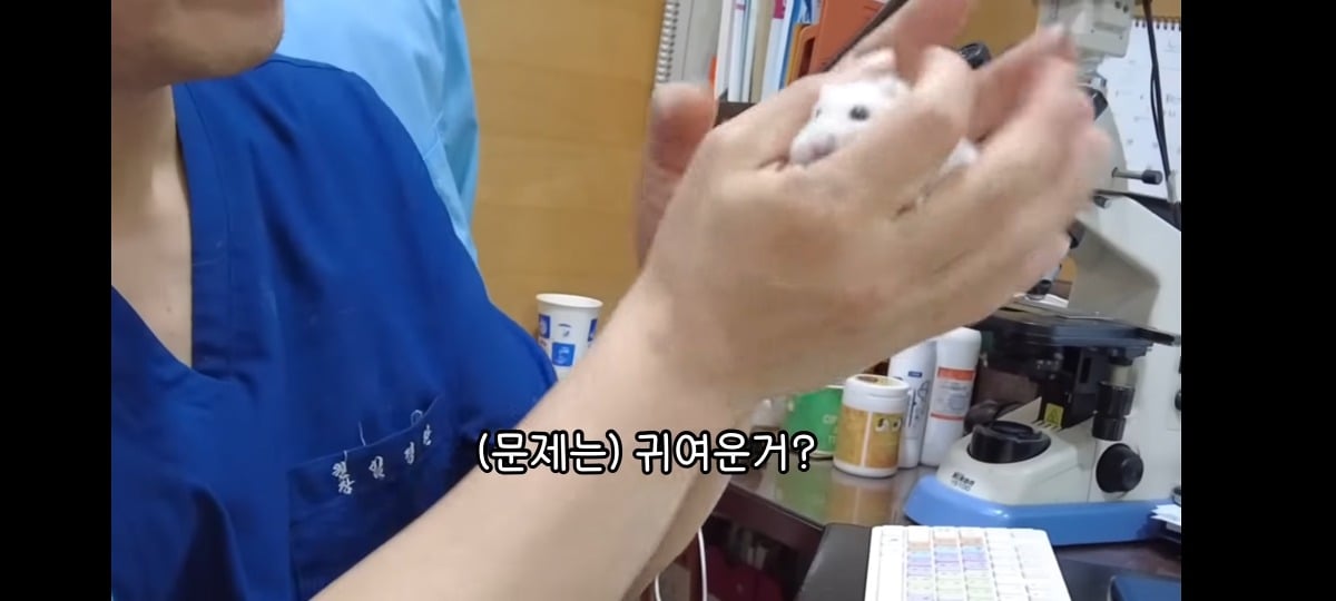 햄스터-건강검진하러-병원왔는데-쌤이-사리사욕-챙김-2-이미지