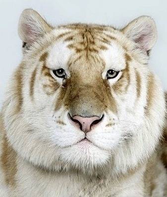 증명사진인데-누가-제일-잘생겼어?-5-이미지