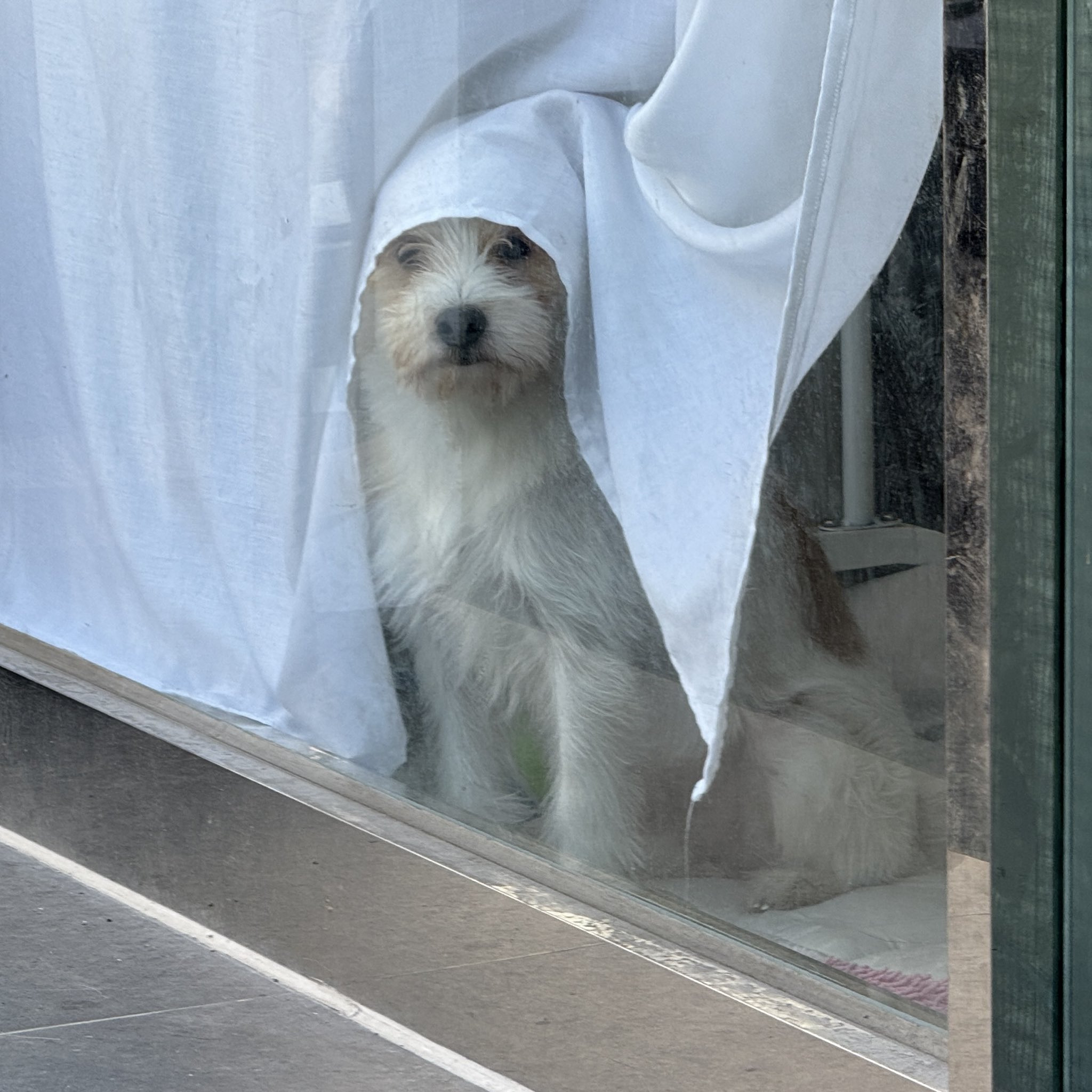 요즘-택배-기사님-문자가-너무-사랑스럽다.twt-5-이미지
