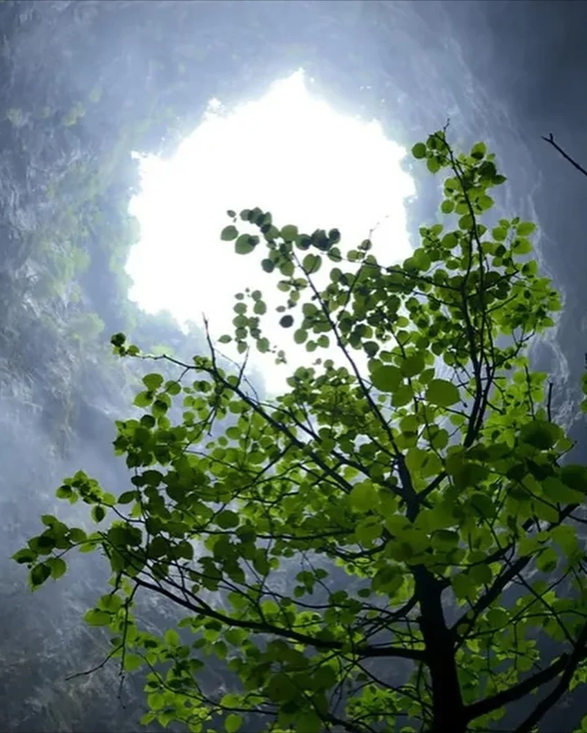 중국에서-발견-된-산-속의-거대-싱크홀-5-이미지