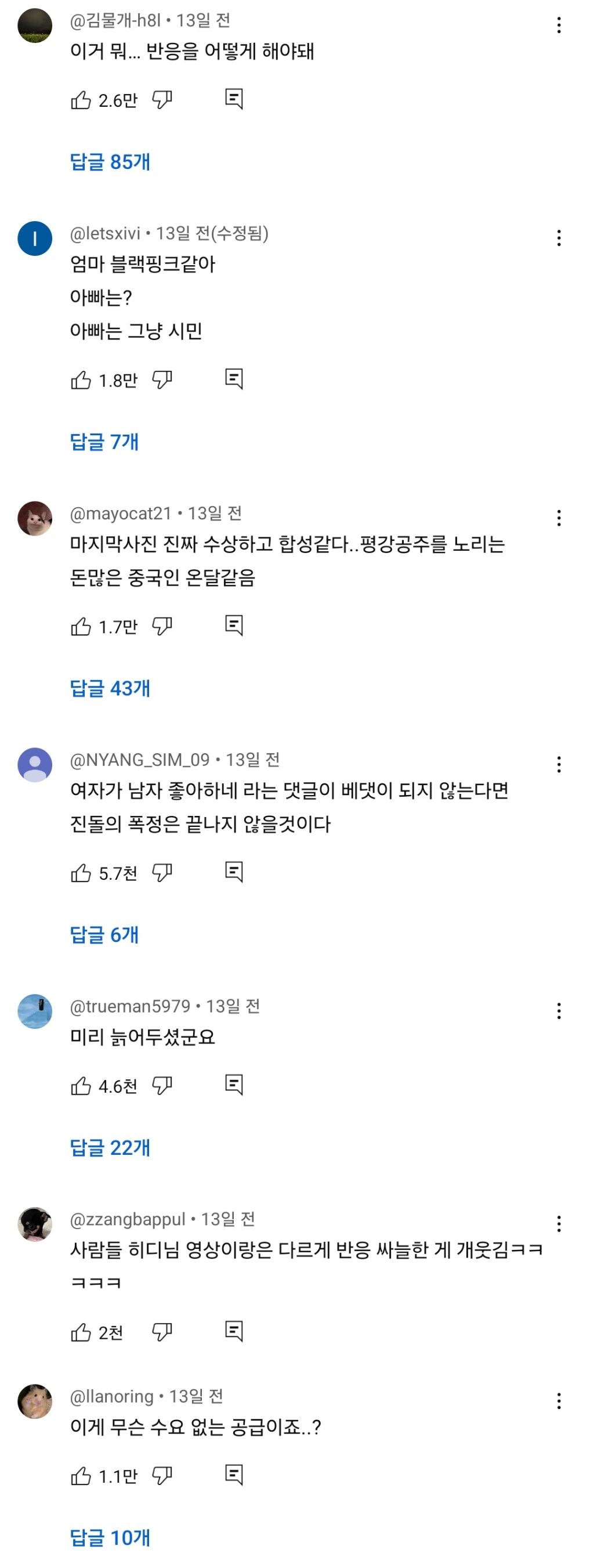 진심-너무하다는-진돌&히디-부부-영상-댓글-온도차........jpg-2-이미지
