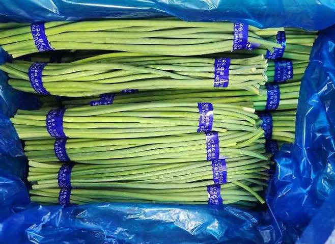 혹시-냉장고에-요런게-들어-있을까요,,당장-버리세요-0-이미지