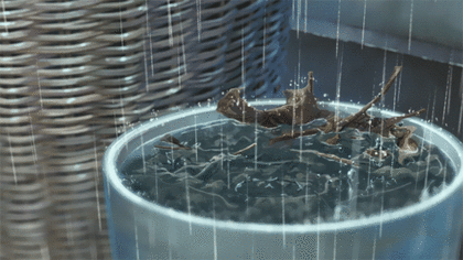 애니-속-비오는-움짤-모둠-5-이미지