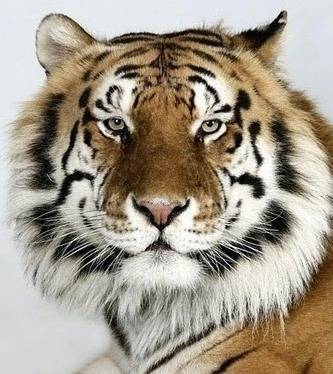 증명사진인데-누가-제일-잘생겼어?-4-이미지