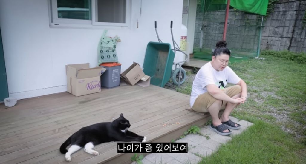 신발-물어-뜯은-고양이-찾아간-이영자-23-이미지