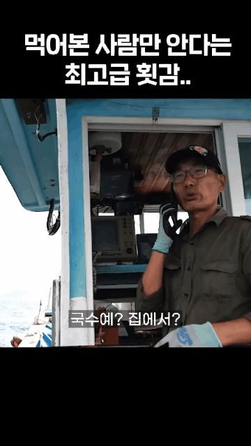 직접-잡은-오징어회-비빔-국수 -1-이미지