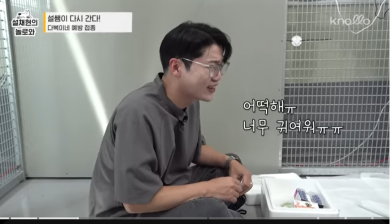 설채현-진돗개-새끼들-주사놔주다가-우네-3-이미지