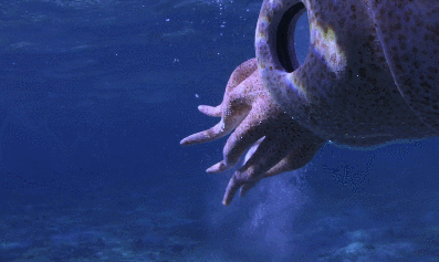 바다속의-돌고래를-촬영하기-위해-만들어진-카메라-퀄리티ㅋㅋㅋㅋ.jpgif-27-이미지