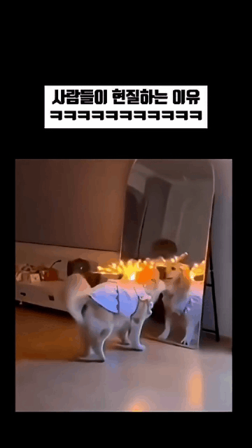 사람들이-현질하는-이유.gif-3-이미지