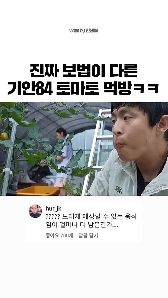 보법이-다른-기안84-토마토-먹방-0-이미지