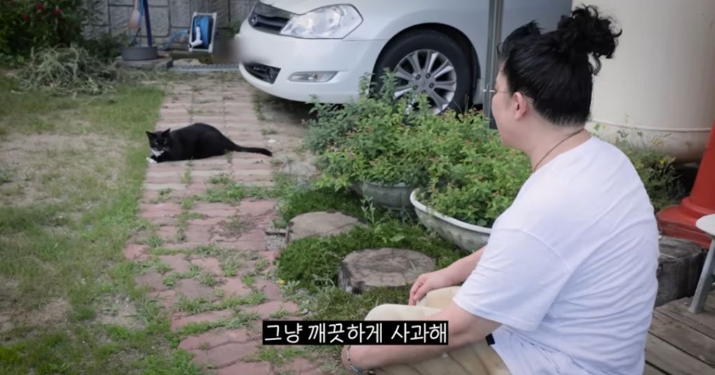 신발-물어-뜯은-고양이-찾아간-이영자-11-이미지