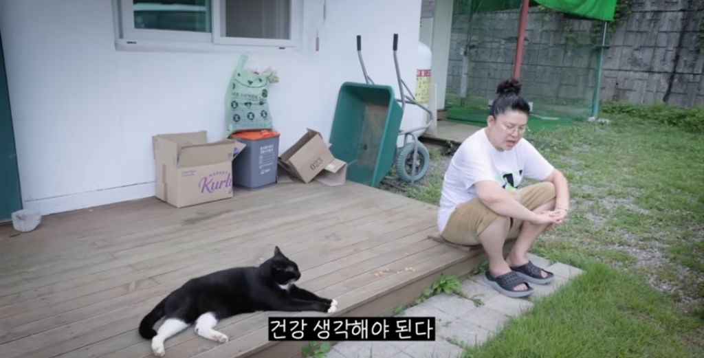 신발-물어-뜯은-고양이-찾아간-이영자-25-이미지