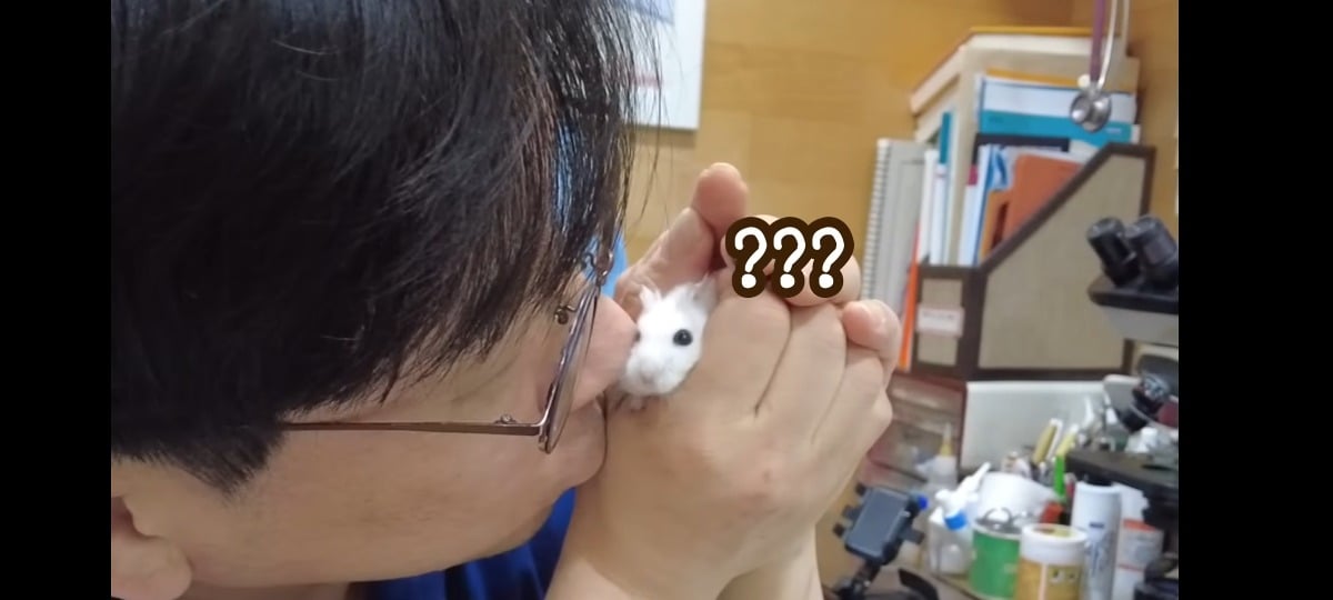 햄스터-건강검진하러-병원왔는데-쌤이-사리사욕-챙김-8-이미지