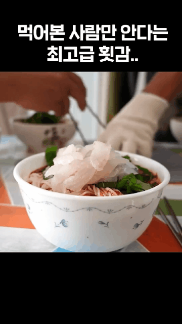 직접-잡은-오징어회-비빔-국수 -3-이미지