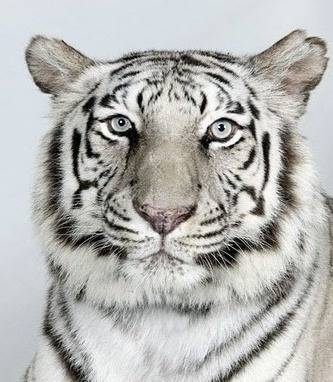 증명사진인데-누가-제일-잘생겼어?-6-이미지