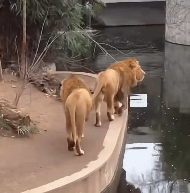 영화-＜프레데터---죽음의땅＞-촬영-사진들-15-이미지