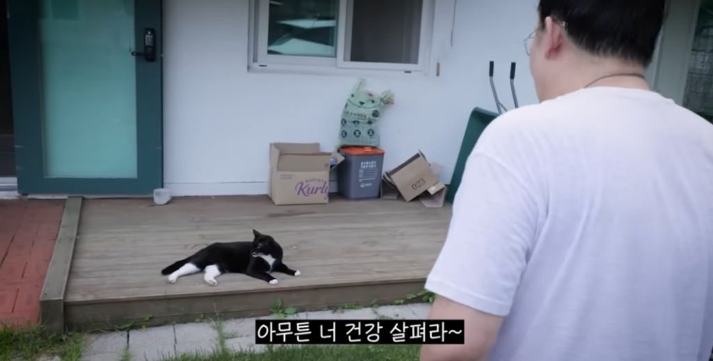 신발-물어-뜯은-고양이-찾아간-이영자-18-이미지