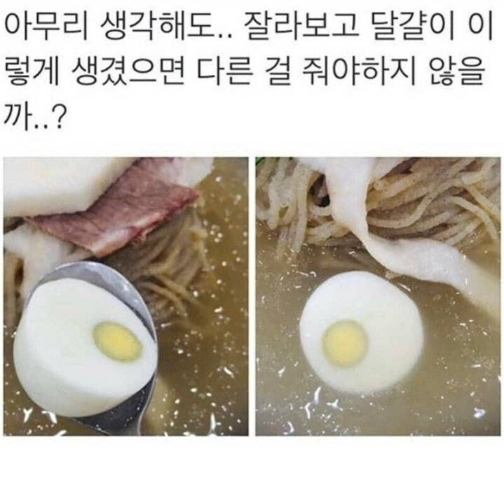 냉면집-삶은계란-논란-0-이미지