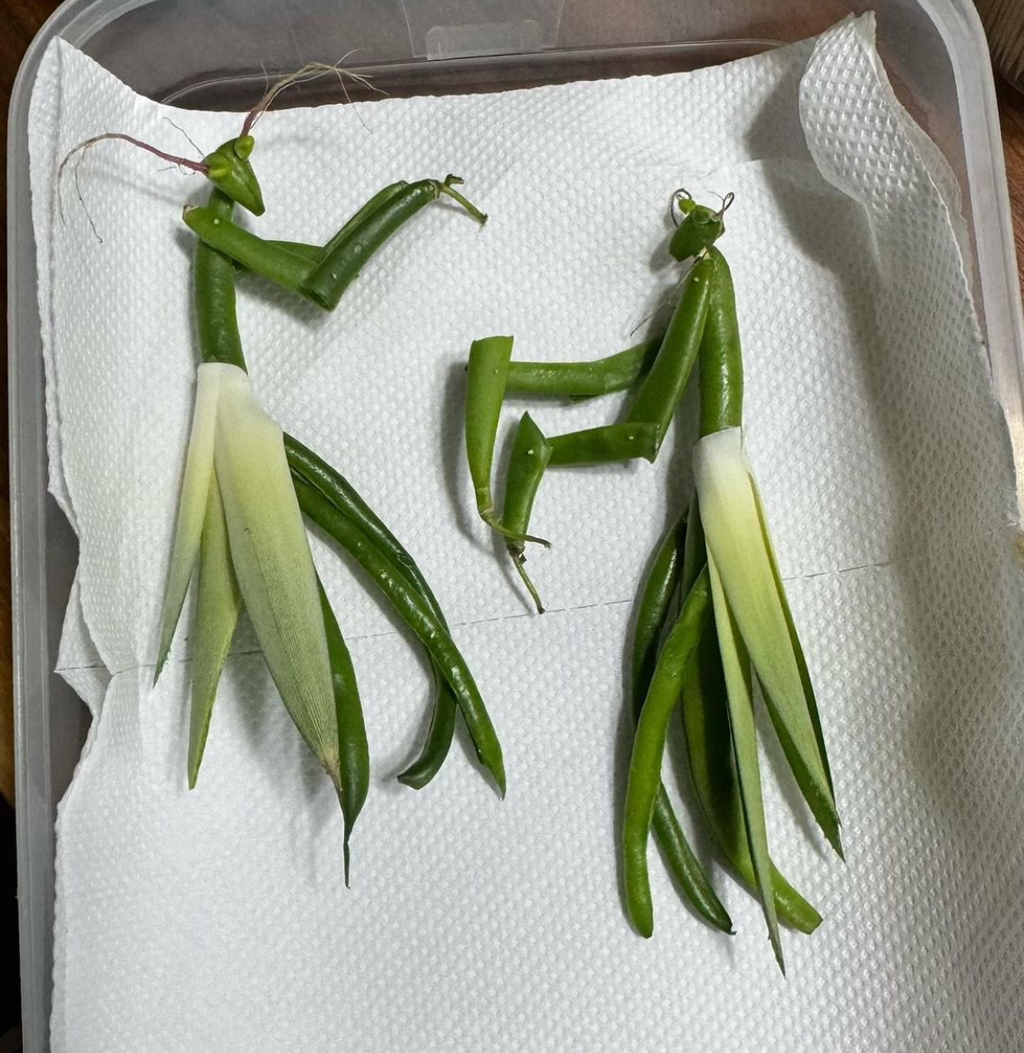 어느-푸드-스타일리스트의-기발한-작품들-24-이미지