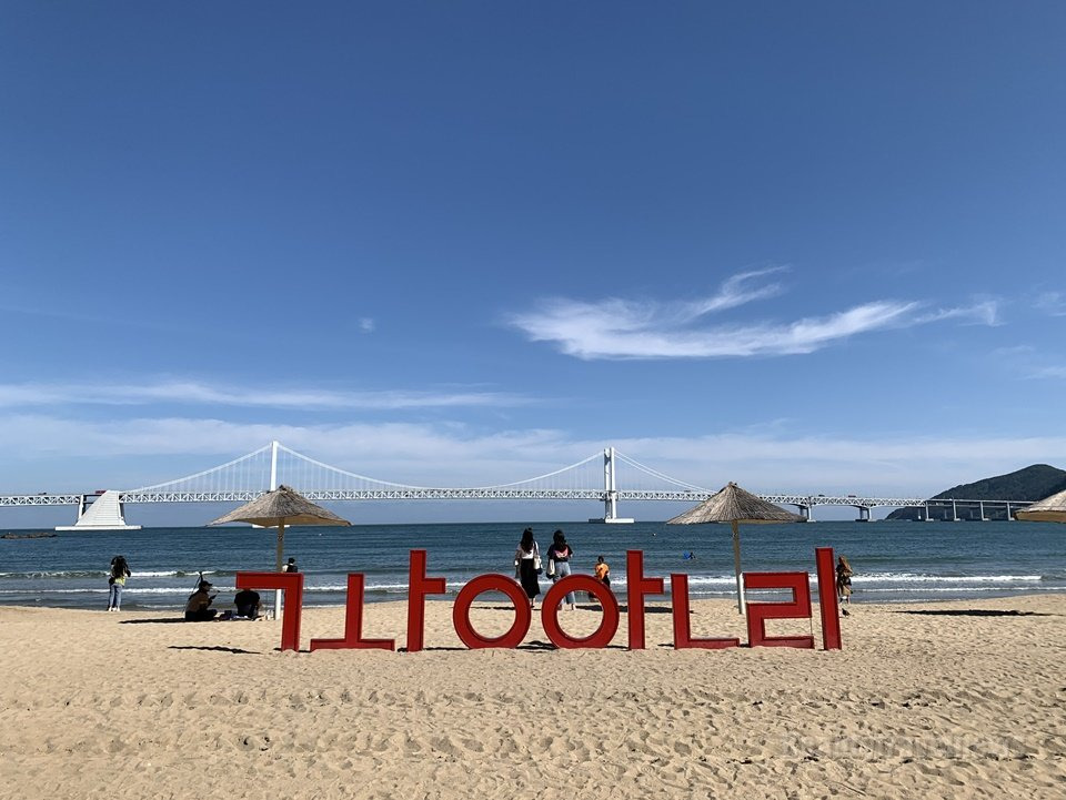 크리스마스-케이크-‘디자인’만-보면-호텔꺼보다-영세가-더-취향인-여시들의-달글-8-이미지