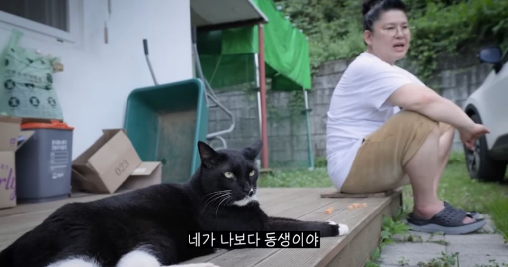 신발-물어-뜯은-고양이-찾아간-이영자-26-이미지