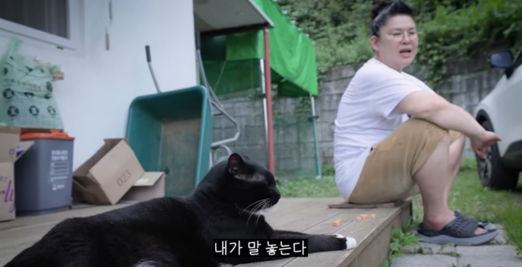 신발-물어-뜯은-고양이-찾아간-이영자-27-이미지