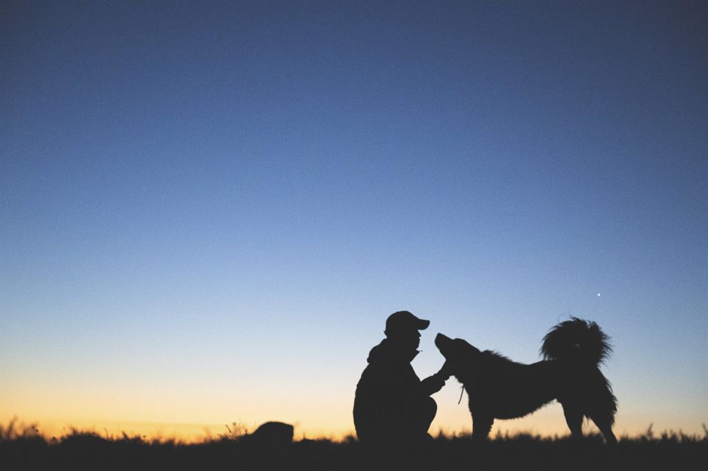 난-내가-죽으면-키웠던-반려견이-마중나오지않았음-좋겠다-0-이미지