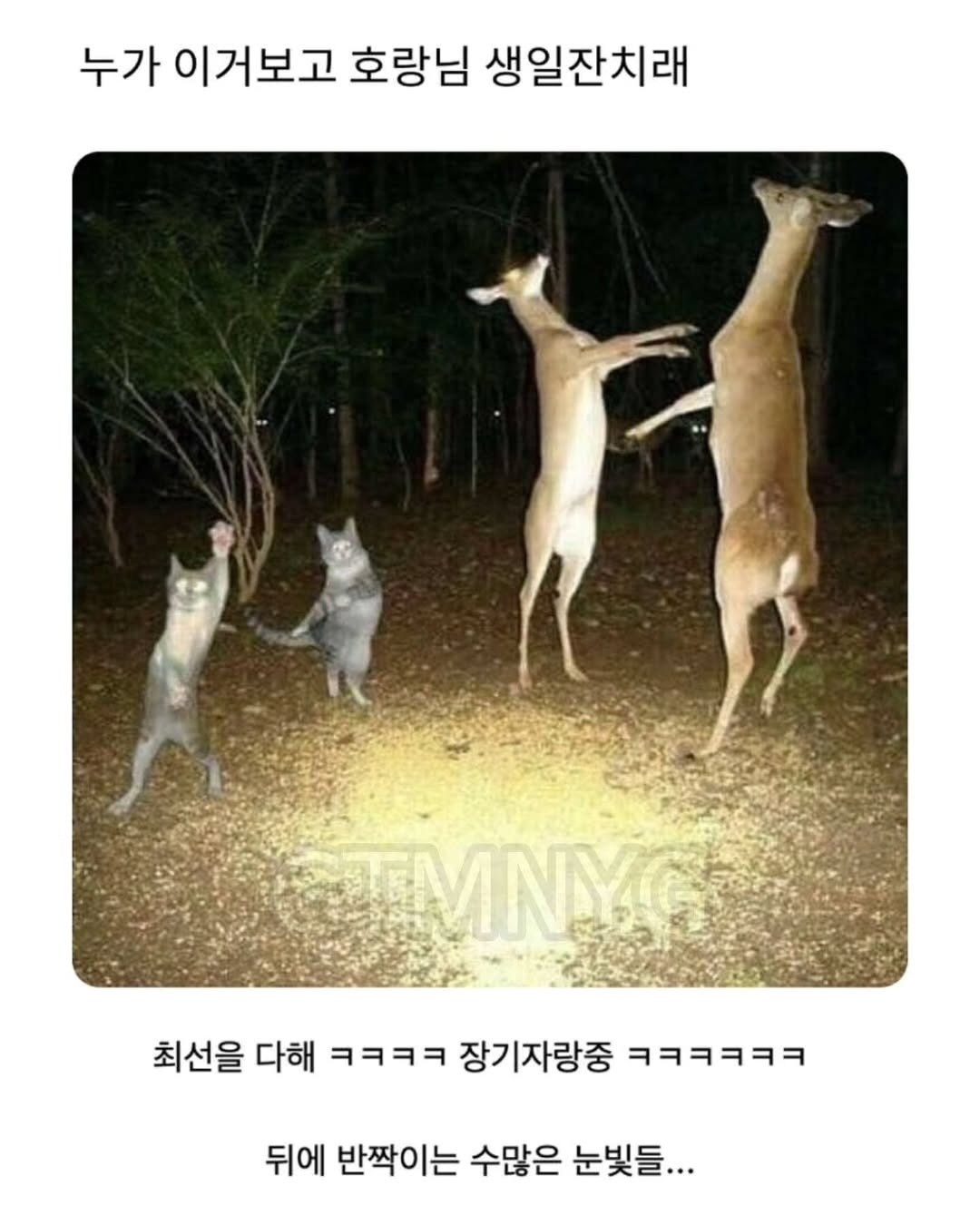 이거-누가-이렇게-말한-뒤로-안-잊혀져-13-이미지