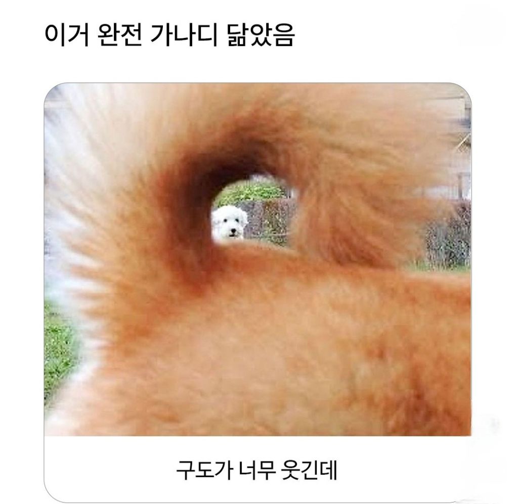 가나디-실사화-0-이미지