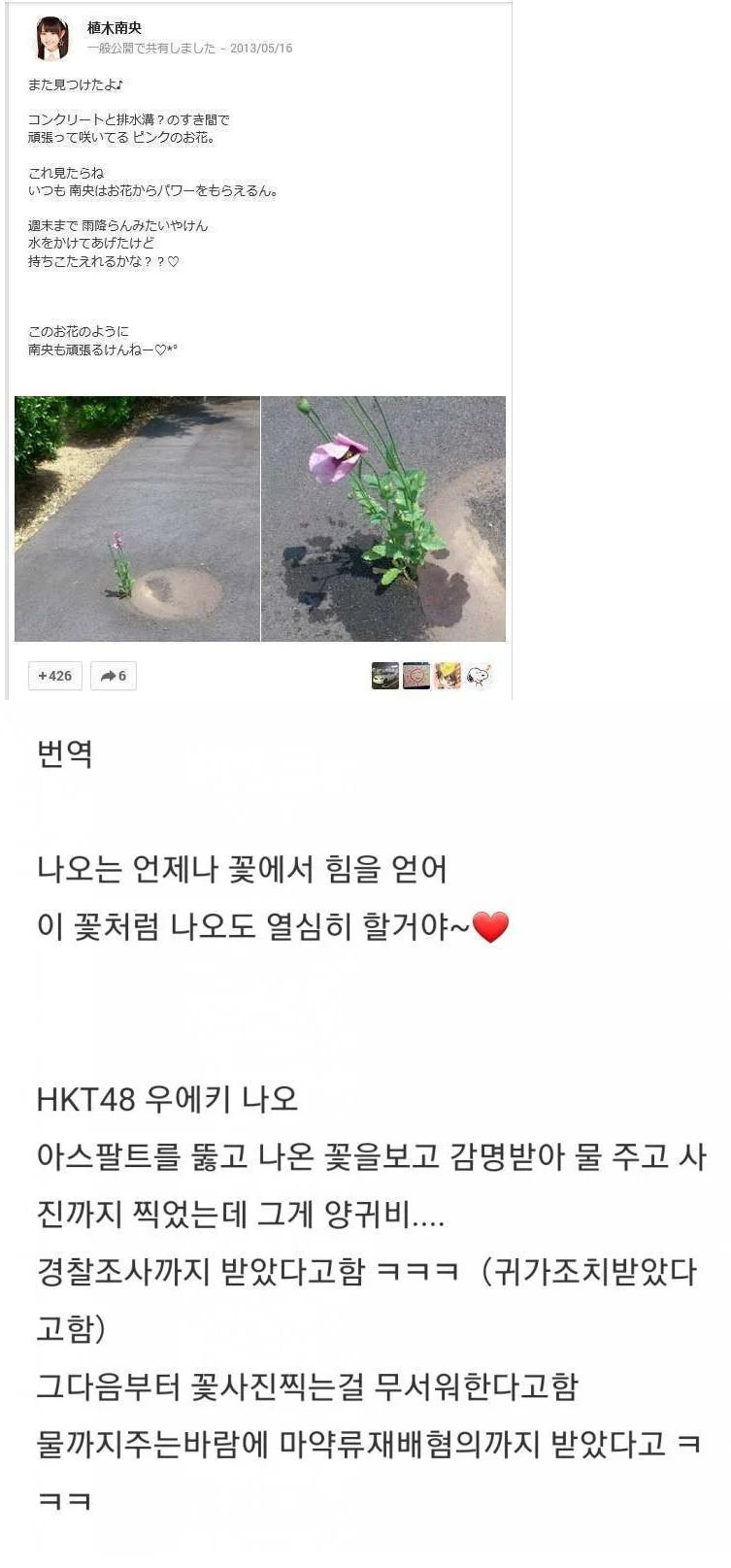 길바닥-꽃에-물-줬다가-경찰조사-받았다는-일본아이돌-0-이미지