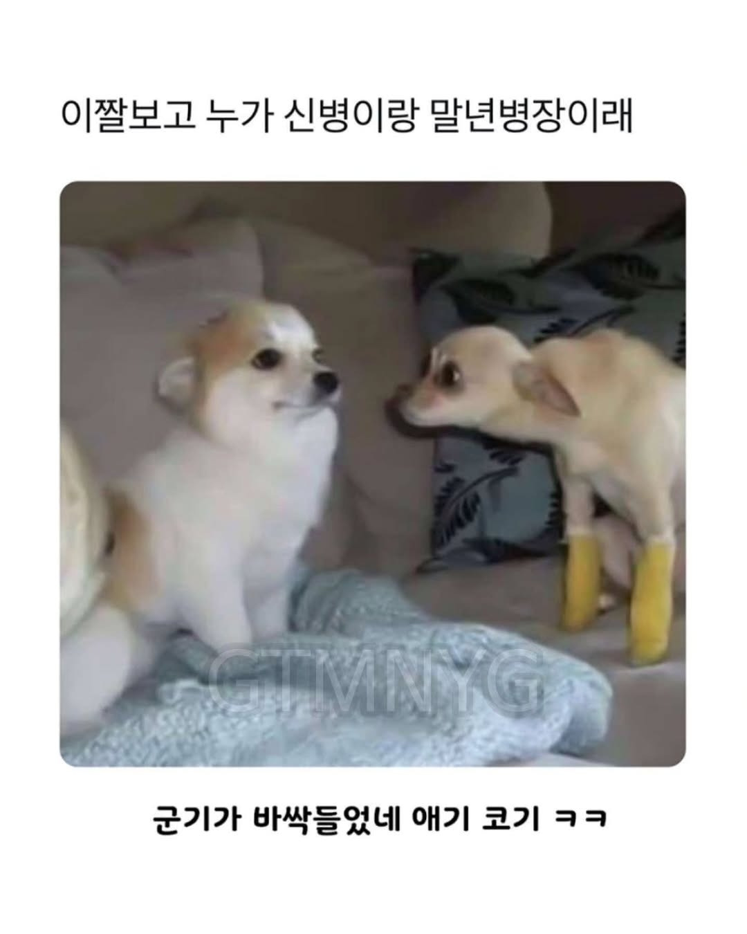 이거-누가-이렇게-말한-뒤로-안-잊혀져-12-이미지