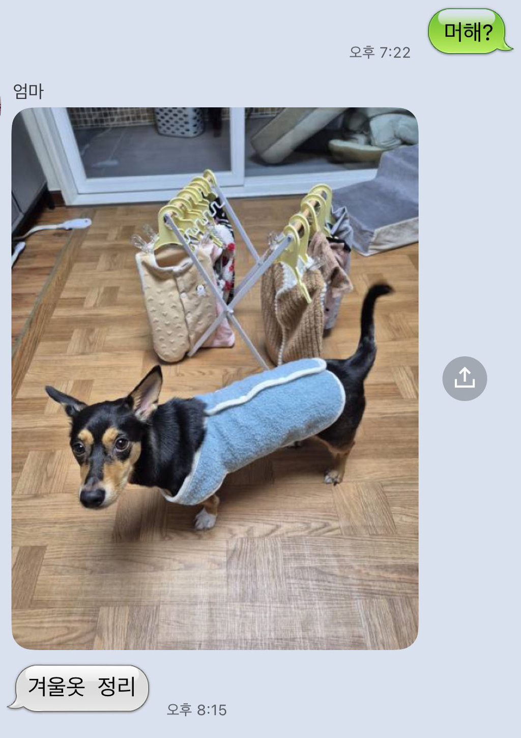 겨울옷-정리하는-엄마-0-이미지