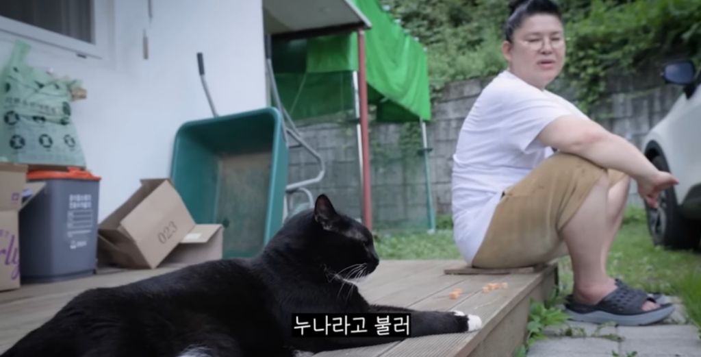 신발-물어-뜯은-고양이-찾아간-이영자-28-이미지