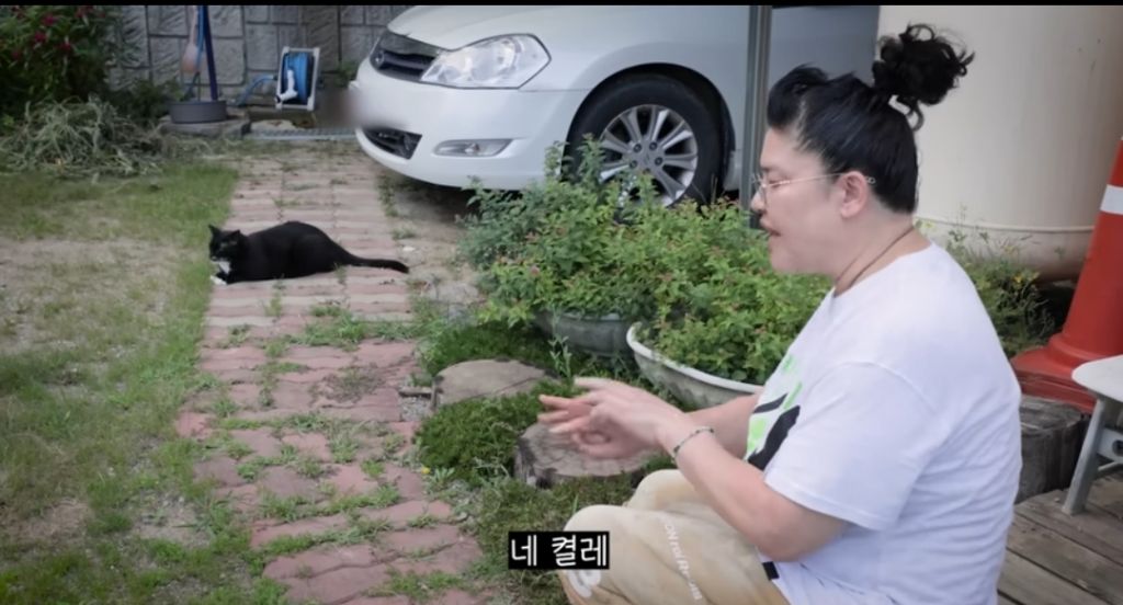 신발-물어-뜯은-고양이-찾아간-이영자-13-이미지