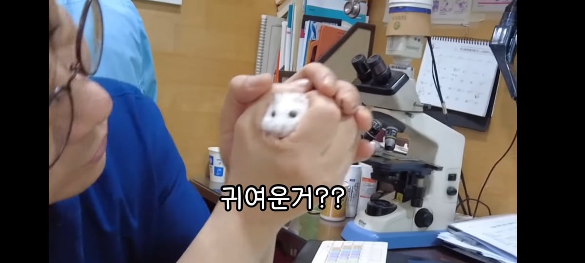 햄스터-건강검진하러-병원왔는데-쌤이-사리사욕-챙김-3-이미지
