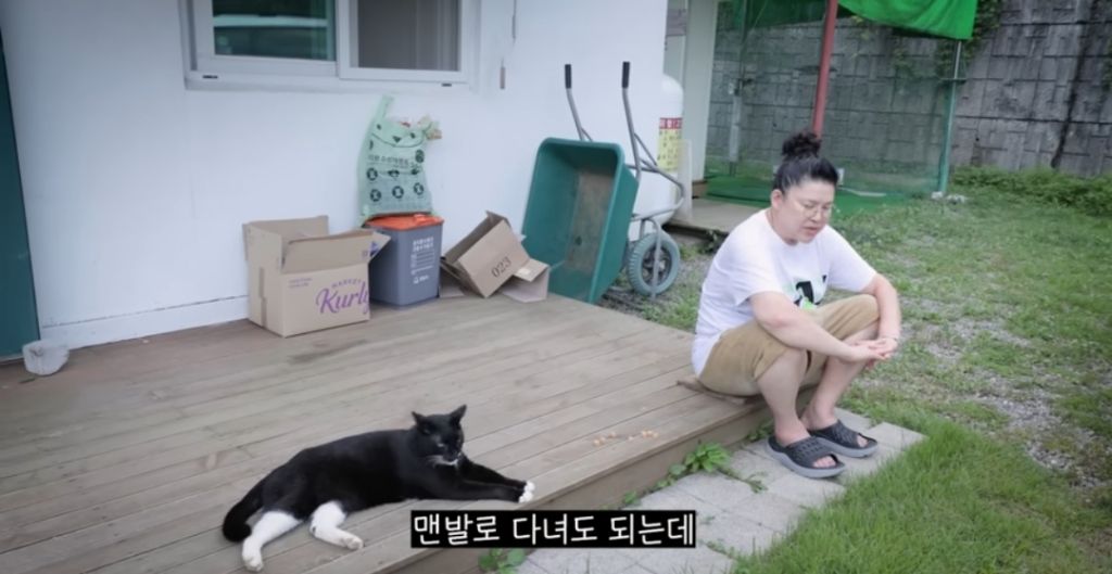 신발-물어-뜯은-고양이-찾아간-이영자-20-이미지