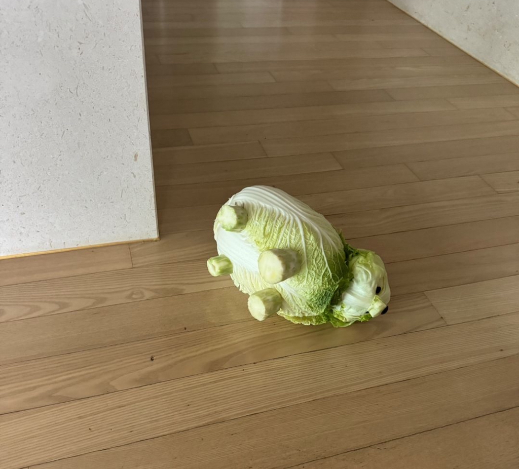 어느-푸드-스타일리스트의-기발한-작품들-3-이미지