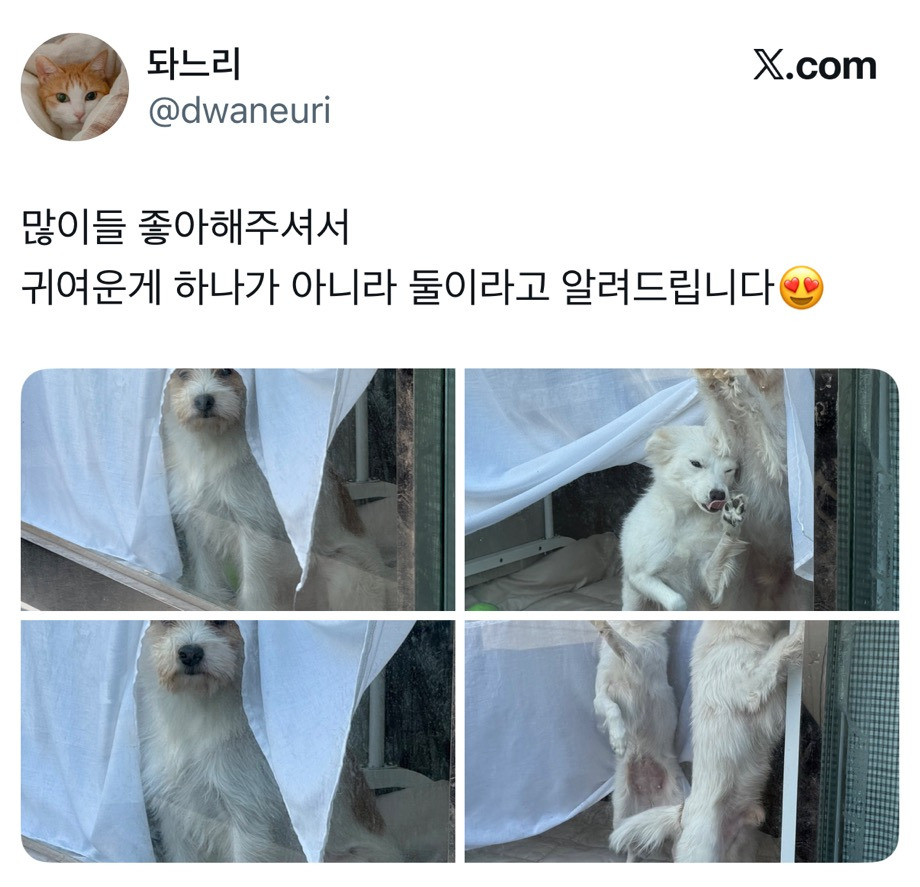 요즘-택배-기사님-문자가-너무-사랑스럽다.twt-4-이미지