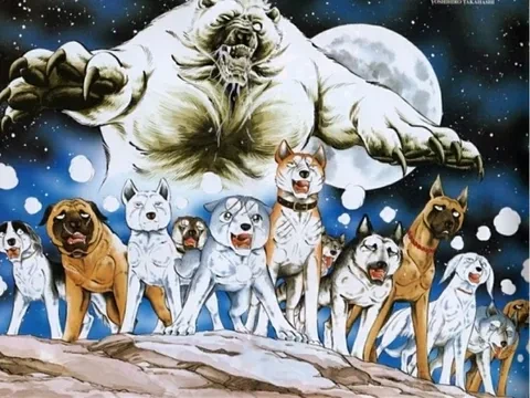 요즘-일본에서-활약이-필요해-보이는-친구들.gif-16-이미지