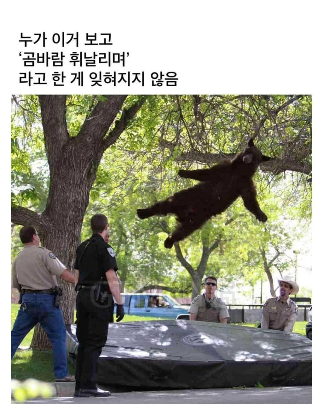 이거-누가-이렇게-말한-뒤로-안-잊혀져-14-이미지