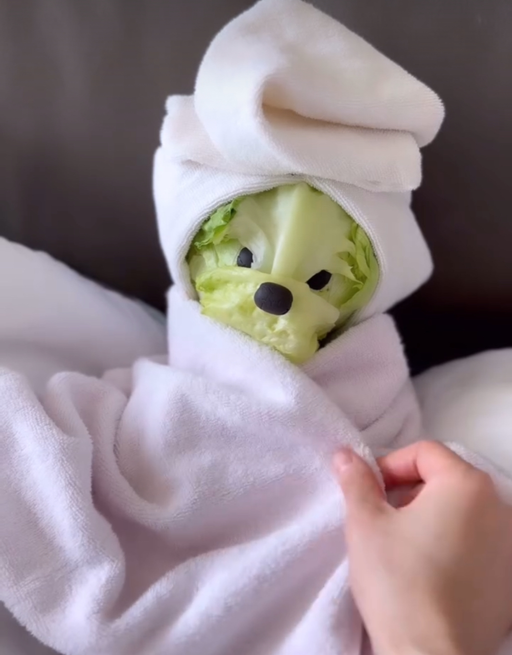 어느-푸드-스타일리스트의-기발한-작품들-16-이미지