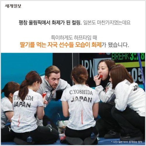 한번-긁히면-무서울-정도로-집착하고-꼽주는-일본-0-이미지