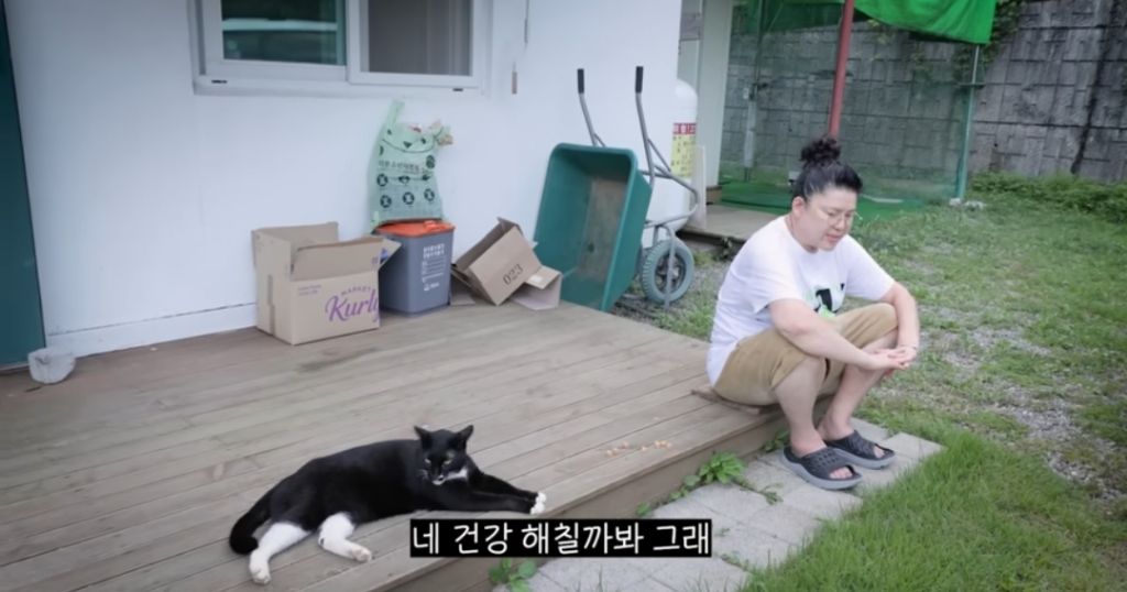 신발-물어-뜯은-고양이-찾아간-이영자-21-이미지