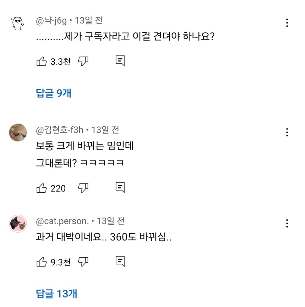 진심-너무하다는-진돌&히디-부부-영상-댓글-온도차........jpg-3-이미지
