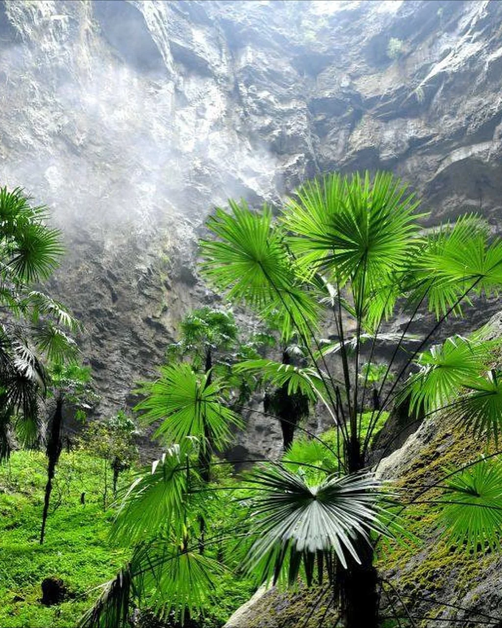 중국에서-발견-된-산-속의-거대-싱크홀-4-이미지