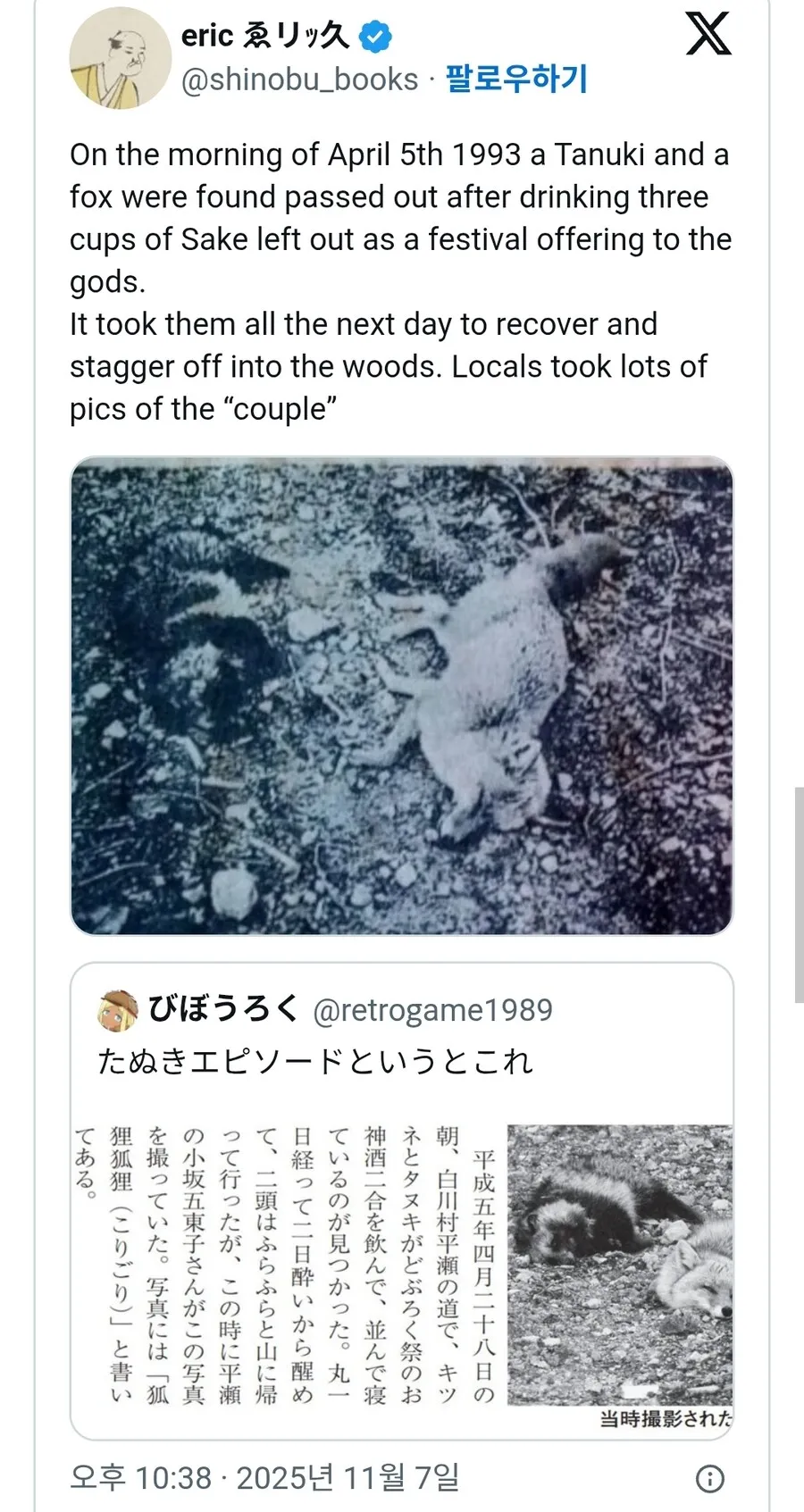 신사-근처에서-쓰러진채-발견된-너구리와-여우-0-이미지